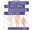 Anatomia kliniczna narząd&oacute;w ruchu